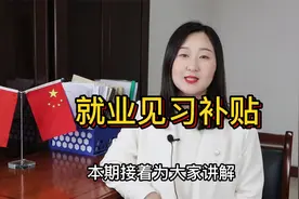 就业见习补贴