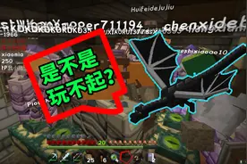 我的世界手机版：30人联机一起打末影人，能打过吗？