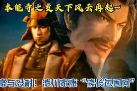 谋略与忍耐！德川家康“信长包围网”P6本能寺之变天下风云再起~视频封面