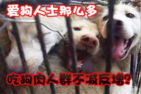 爱狗人士越来越多，为啥爱吃狗肉的人不减反增呢？原来还有两面人