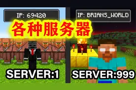 我的世界：dream服务器奇遇记