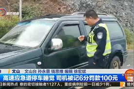 高速应急道停车睡觉 司机被记6分罚款100元视频封面