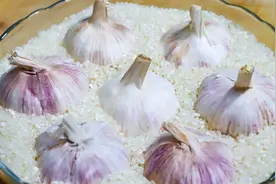 今天才知道，往大米里放几个大蒜，作用这么厉害，一年省下不少钱