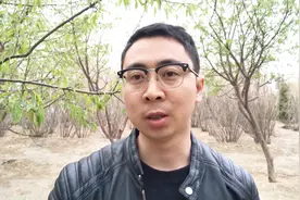 谁才是真正的樱桃之乡，哪个产区的樱桃好吃？视频封面