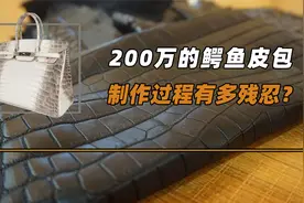 200万的鳄鱼皮包，制作过程有多残忍？看完后不忍心再购买视频封面