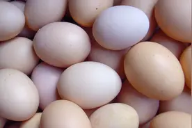 清洗鸡蛋是用凉水还是用温水？鸡蛋清洗后怎样保存？涨涨知识吧