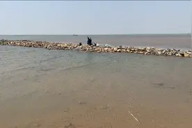 渤海湾巨坑！二蛋抽6个小时找到传说中青螺洞，一桶都装不下视频封面