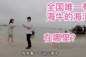 全国唯一有海牛的海湾在哪里？我来告诉你们视频封面