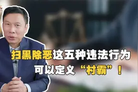 杨在明：扫黑除恶，这五种违法行为可以定义“村霸”视频封面