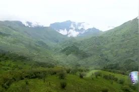 20多个国家自然保护区，40多种珍稀动物，一分钟带您看个够！视频封面