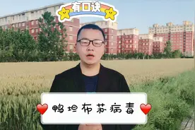 执业兽医资格考试之黄病毒科鸭坦布苏病毒，有记忆口诀视频封面