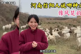 河南信阳人为什么说湖北话？一个视频解决所有关于信阳的疑问！视频封面