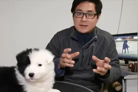 犬舍围栏初见形状，谈如何挑选性格合适的小狗视频封面