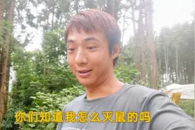 灭鼠记，养殖场老鼠泛滥天天抓小鸡吃，小魏一招就把老鼠全部解决