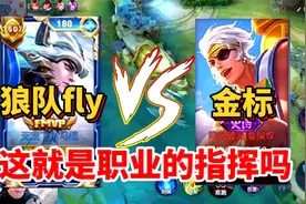 狼队fly巅峰赛，指挥路人？反败为胜，犹如喝水！还不忘超个神视频封面