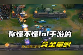 给你们看看lol手游宗师三百分的“含金量“
