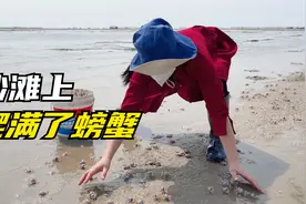 家乡资源太丰富了，沙滩上全部爬满了螃蟹，像千军万马一样壮观视频封面