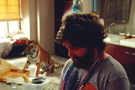 影视：你喝酒的样子真美，喝醉之后还牵了头老虎回家视频封面