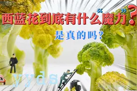 【科普】为什么健身人士都喜欢吃西蓝花？听说西蓝花还能抗癌？视频封面