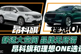 《胖哥选车》舒适大空间的SUV，昂科旗和理想ONE怎么选？视频封面