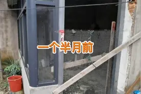 农村厨房改造全过程，历时一个半月终于完工了，再也不用吸油烟了视频封面