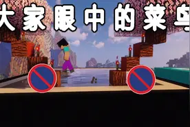 我的世界：大家眼中的菜鸟你都知道是什么样的吗？视频封面