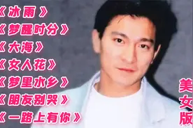 90年代【经典情歌】《冰雨》《梦醒时分》《女人花》《梦里水乡》视频封面