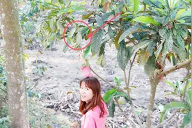 丫丫意外发现挂着一个鸟窝在树上，窝隐藏得太好了！是什么鸟呢？视频封面