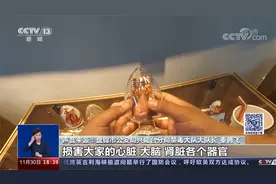 “上头电子烟”可致窒息休克猝死 新型毒品“穿马甲”如何识别？视频封面