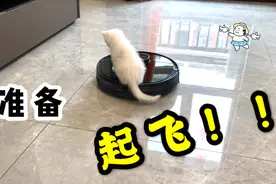 猫咪大战扫地机器人，竟敢骑到机器人头上撒野，胆大包天！视频封面