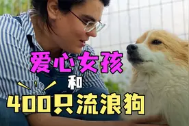 爱心女孩自费建狗舍，为400只流浪狗找新家视频封面