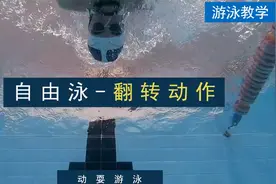 三步学会自由泳翻转视频封面