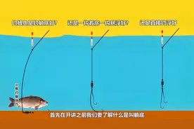 钓鲤鱼是钓躺底好？还是一钩着底一钩悬浮好？还是直接钓浮好？视频封面
