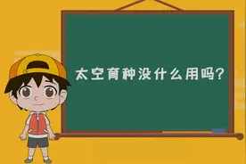 谣言“辨”形记 | 太空育种没什么用吗？视频封面