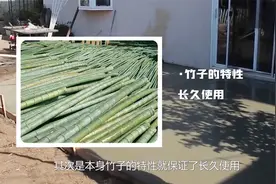 农村打地坪，水泥里为何放竹子不加钢筋？不烂吗？老师傅说很常见视频封面
