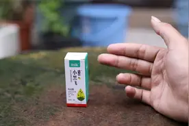 养花长了小黑飞怎么办？园艺师教你，用小黑飞专用，一次性全消灭