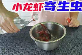 用白醋或酒浸泡小龙虾，据说就会出现很多寄生虫？小伙亲测真假视频封面