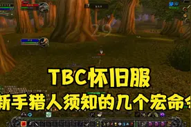 魔兽世界怀旧服：新手猎人实用宏命令（绑定宠物攻击技能）视频封面