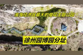 淮海经济区最大的樱花主题公园，徐州园博园分址辛山山体公园视频封面