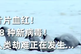 南极冻土层解冻，青藏高原发现 28 种新病毒！一场劫难正在发生视频封面