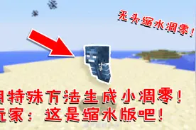 我的世界：用特别的方法能生成小凋零？玩家：这是缩水版吧！视频封面