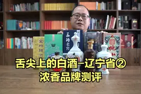 舌尖上的白酒：辽宁省②浓香，老龙口，金州曲酒、三沟老窖视频封面