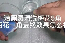 洁厕灵清洗梅花五角、菊花一角最终效果怎么样？视频封面