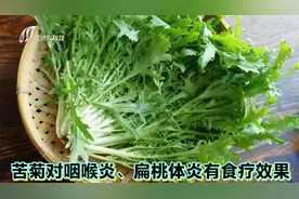蔬菜界的冠军选手：苦菊，对咽喉炎、扁桃体炎的人群有食疗效果视频封面