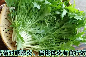 蔬菜界的冠军选手：苦菊，对咽喉炎、扁桃体炎的人群有食疗效果视频封面