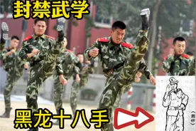 1981年创立的黑龙十八手，再度重现，令人大为震撼。视频封面