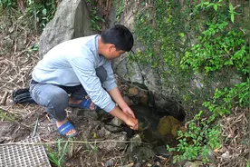 石缝下有泉水冒出来，断定下面必有各种鱼鲶鱼，小伙钓爆了！视频封面