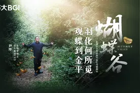 羽化何所觅，观蝶到金平—探访蝴蝶大爆发全球唯二观测地云南金平视频封面