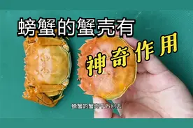 螃蟹的蟹壳掰下来别丢，它有妙用！视频封面