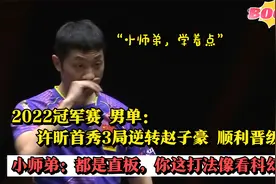 冠军赛 许昕3局逆转赵子豪晋级 赵:都是直板,你这打法像看科幻片视频封面